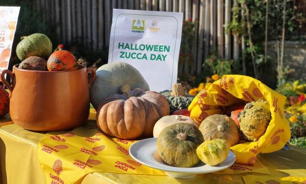 Halloween, arriva lo Zucca day: i mercati contadini si trasformano in pumpkin patch