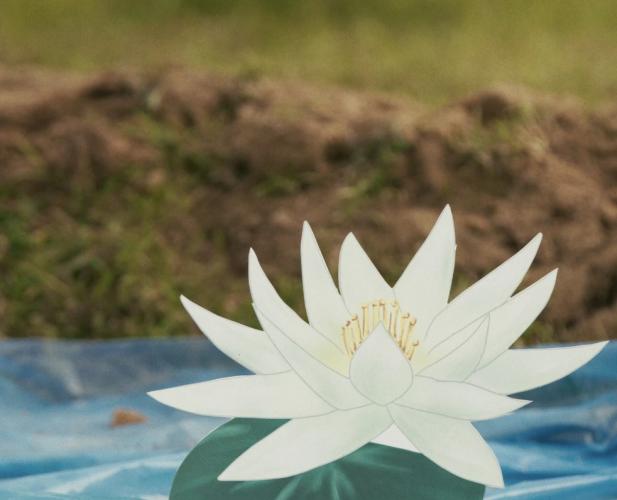 A Lecce la mostra &laquo;Falling&raquo; di Driant Zeneli: la caduta come trasformazione, politica e realismo magico