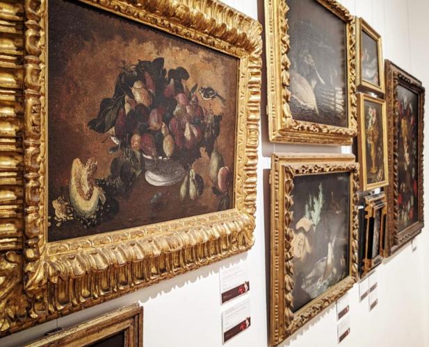 A Bitonto la mostra &laquo;Barocco. Allegorie del sensibile&raquo;: un viaggio nel Seicento tra prestiti d&rsquo;arte e capolavori