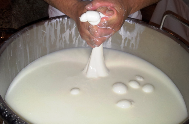 Ad Andria scoppia la «guerra della burrata»: due consorzi si contendono il Monumento al Casaro in via Bisceglie