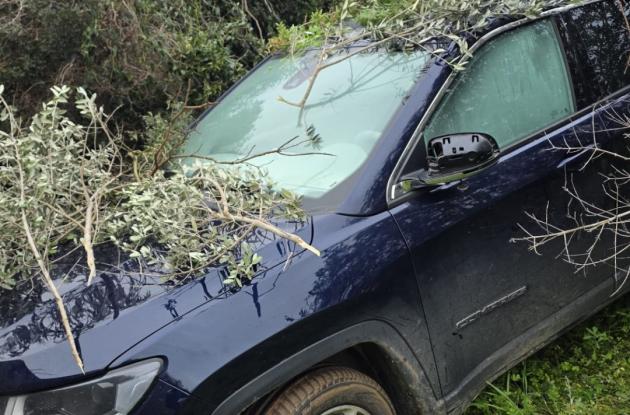 Assalto al portavalori nel Brindisino, ritrovata una seconda auto del commando armato Assalto al portavalori nel Brindisino, ritrovata una seconda auto del commando armato
