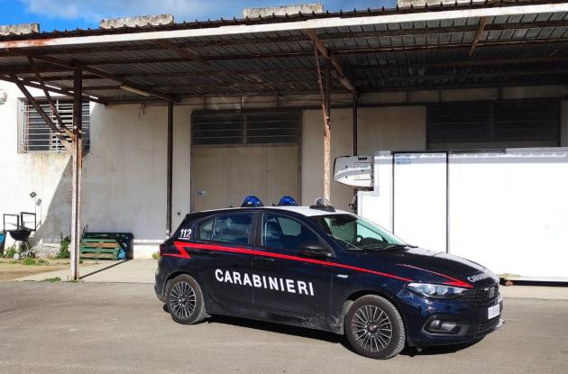 Agguato a Soleto, imprenditore 38enne ferito a colpi di pistola nella sua azienda: non è in pericolo di vita Agguato a Soleto, imprenditore 38enne ferito a colpi di pistola nella sua azienda: non è in pericolo di vita