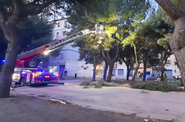 Foggia, grosso ramo cade in P.zza Giovanni XXIII: strada bloccata e intervento dei Vigili del Fuoco