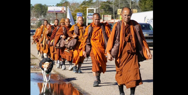 La bellezza dei monaci (pi&ugrave; un cane) in cammino per la pace