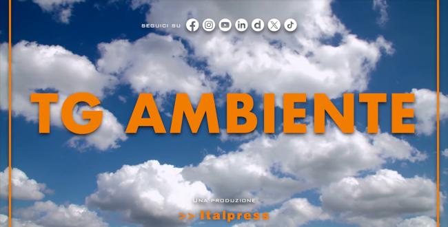 Tg Ambiente - 7/12/2025