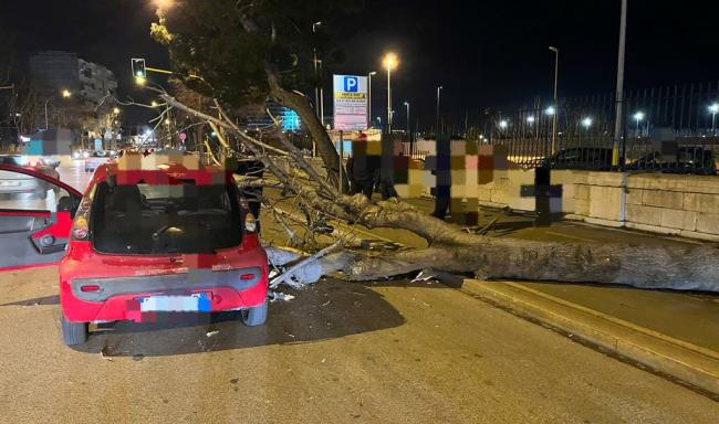 Maltempo a Bari, albero cade su auto per il vento forte: due feriti
