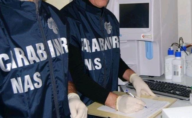 Panettoni venduti come «artigianali» e produzione gelato per cani non autorizzata: operazione dei Nas di Taranto