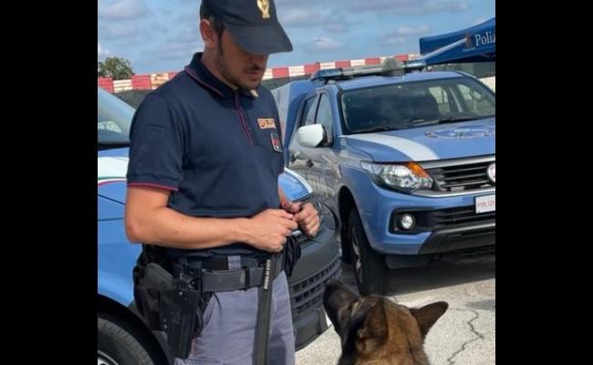 Mola di Bari, spacciavano droga nel locale: sospesa attività
