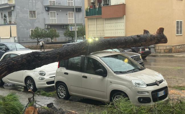 La Puglia nella morsa del maltempo: allerta arancione in tutta la regione, a Taranto scuole chiuse, alberi e pali caduti nel Salento