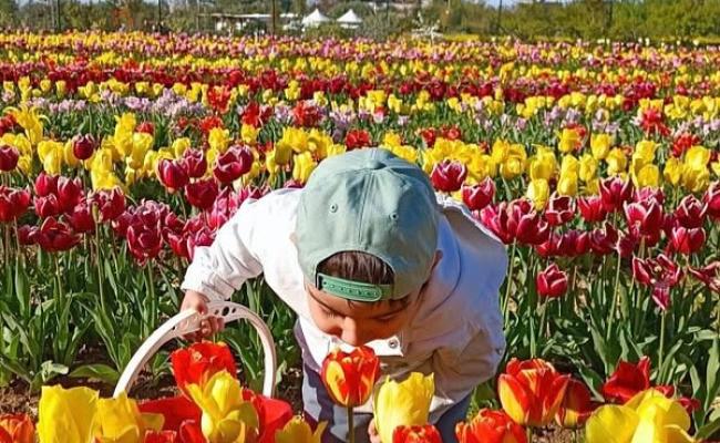 Ecco cosa fare in Puglia e in Basilicata nel weekend dal 20 al 22 marzo 2026