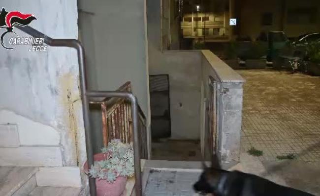 Maxioperazione antidroga nel Salento: venti arresti, smantellata rete dello spaccio da Nardò a Galatone VIDEO