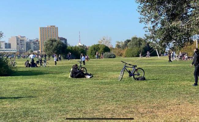 Bari, la Cassazione riapre la partita: &laquo;Il parco di Punta Perotti deve essere smantellato&raquo;