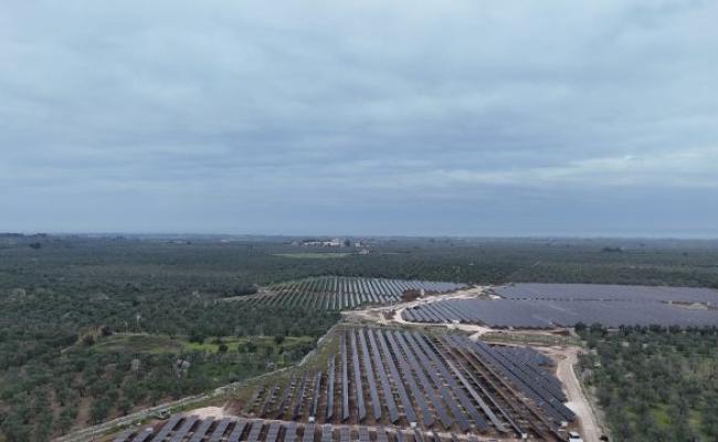 Puglia, una legge per favorire gli impianti a energie rinnovabili: oggi l'ok in giunta. L'ira degli ambientalisti