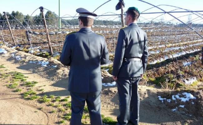 Matera, permessi di soggiorno agli extracomunitari venduti a 2mila euro. Gli indagati: &laquo;Tanto non rischiamo niente&raquo;