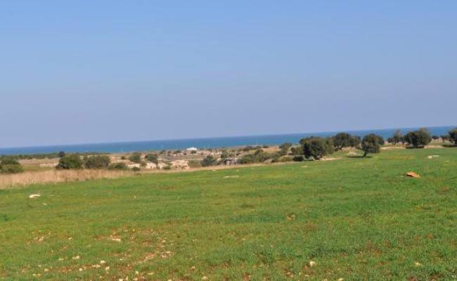 Dune costiere, c'&egrave; il progetto di un resort a 5 stelle: l'area di oltre 140 ettari venduta a un immobiliarista romano