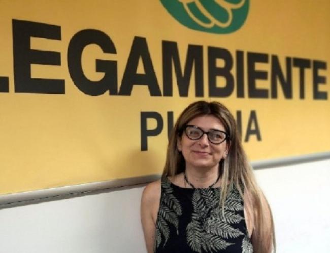 Salzedo (Legambiente): &laquo;L&rsquo;eolico offshore &egrave; vitale per la decarbonizzazione&raquo;