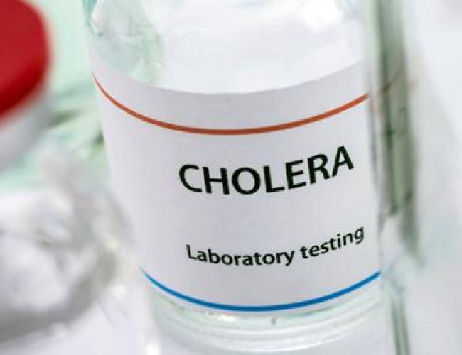 Colera, Oms: "Casi in 25 Paesi, rischio globale molto alto"