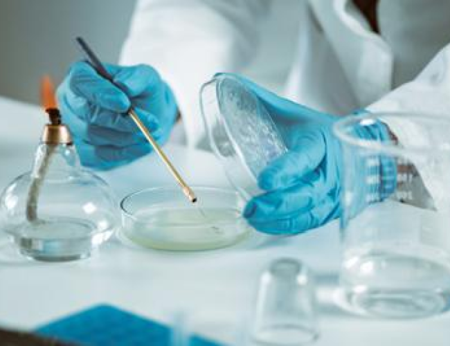 Ricerca: sclerosi multipla, nuove strategie per trattarla potenziando il sistema immunitario