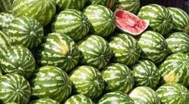 Grano ok, giù import dal Canada. Ma su angurie allarme speculazione