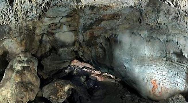 Sono in Puglia i resti del più antico cane italiano: tra 14mila e 20mila anni fa