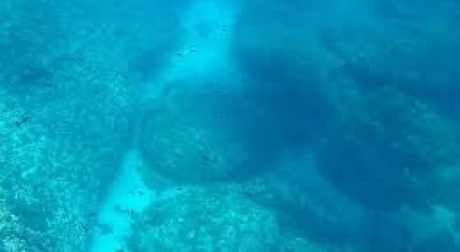 Giornata dell'Ambiente in Puglia, immersioni per liberare i fondali di Leuca dai rifiuti