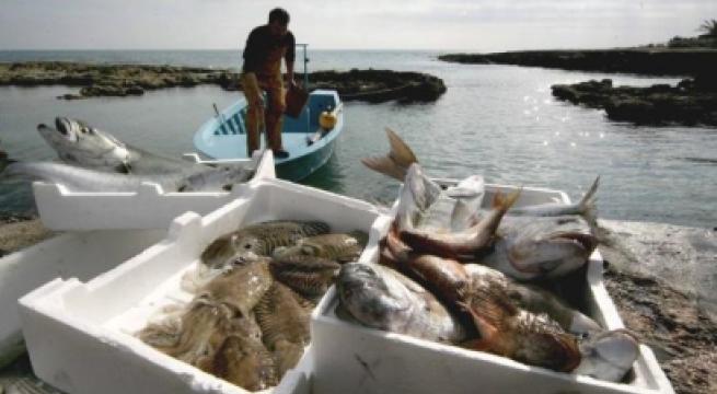 Pesca sostenibile e innovazione dei porti: nasce in Puglia «Appesca»