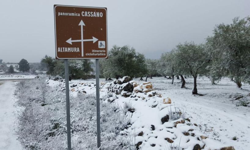 neve a bari