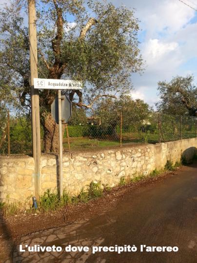 L'uliveto dove precipitò l'arereo