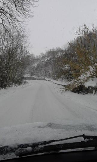 Avigliano