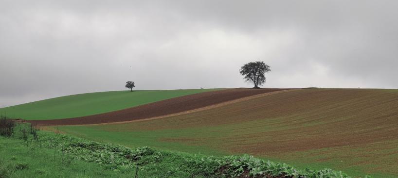Foto di Giovanni Galeone