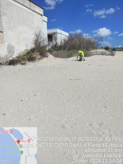 porto cesareo