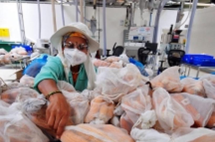 India: Monsanto minaccia ritiro