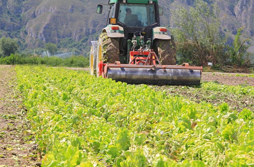 agricoltura