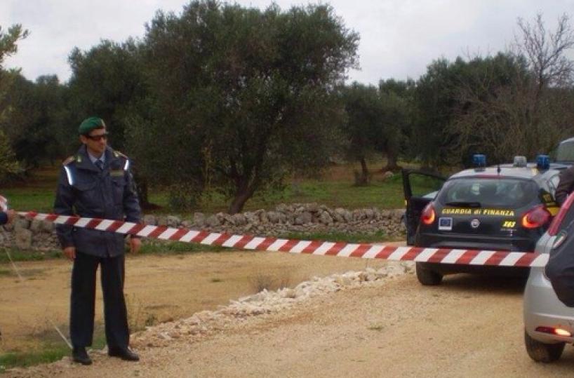 Eolico tra ulivi monumentali11 indagati, anche dirigentidell'Enel e della Regione