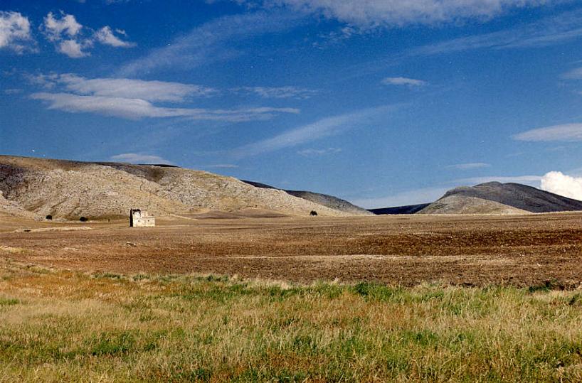 murgia