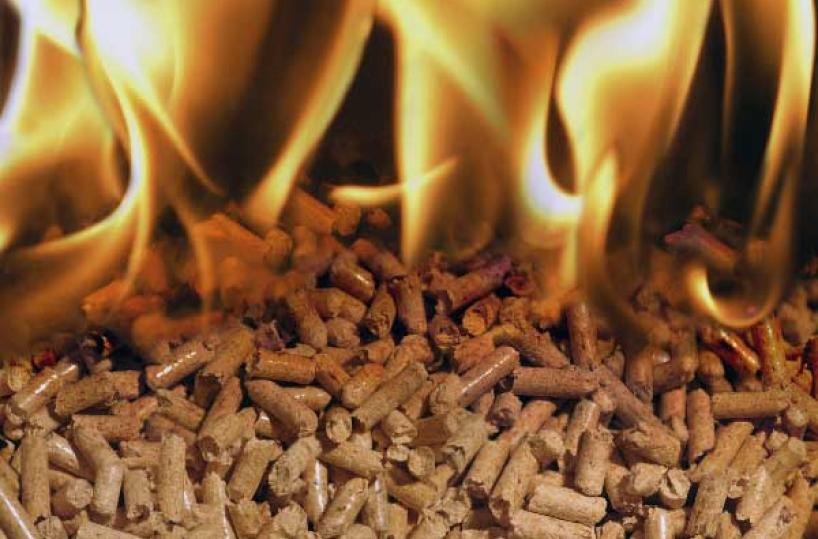 Contraffazioni, sequestrate 129 tonnellate di pellet a Bari