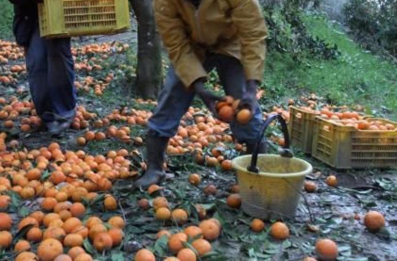 Le mani della mafia dell’Est  sul «business» delle badanti