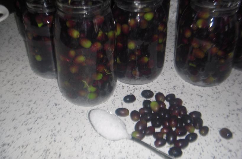 olive in acqua