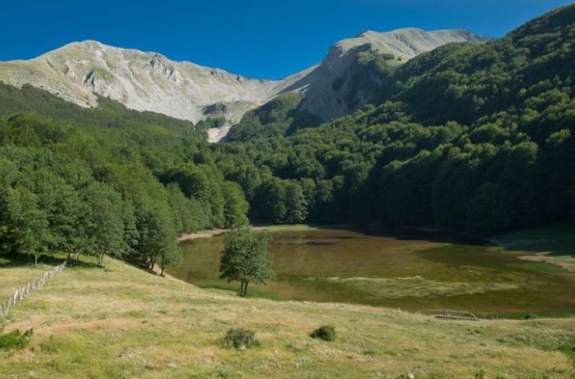 area naturale