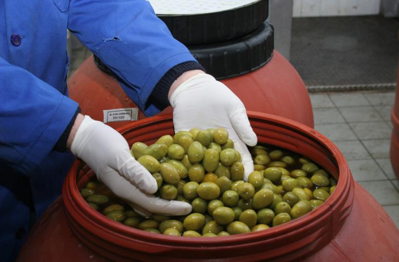 olive