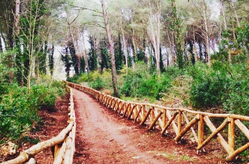 pineta, percorsi naturalistici per bici