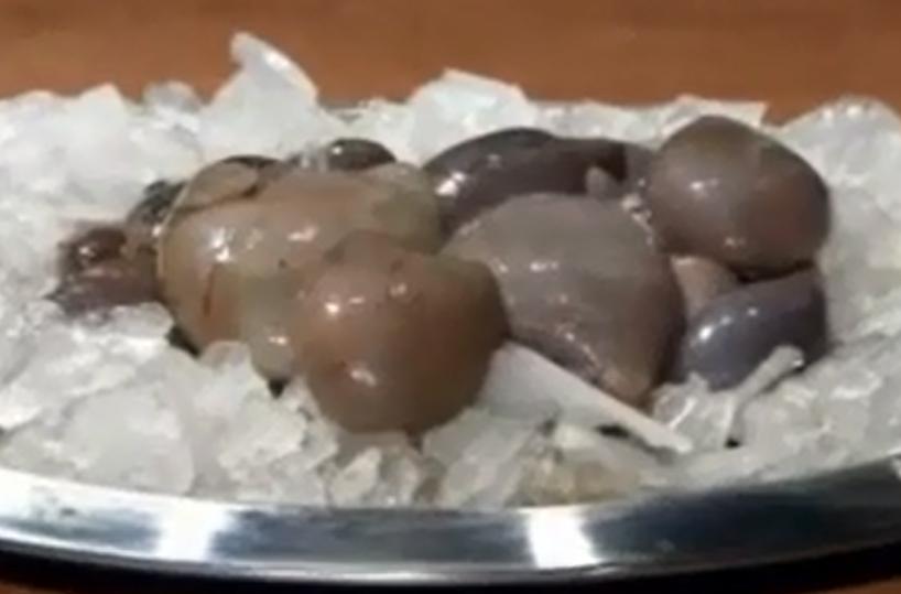 La calandra di polpoconquista Masterchef