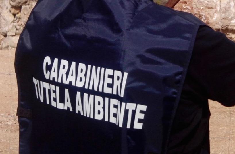 carabinieri Noe