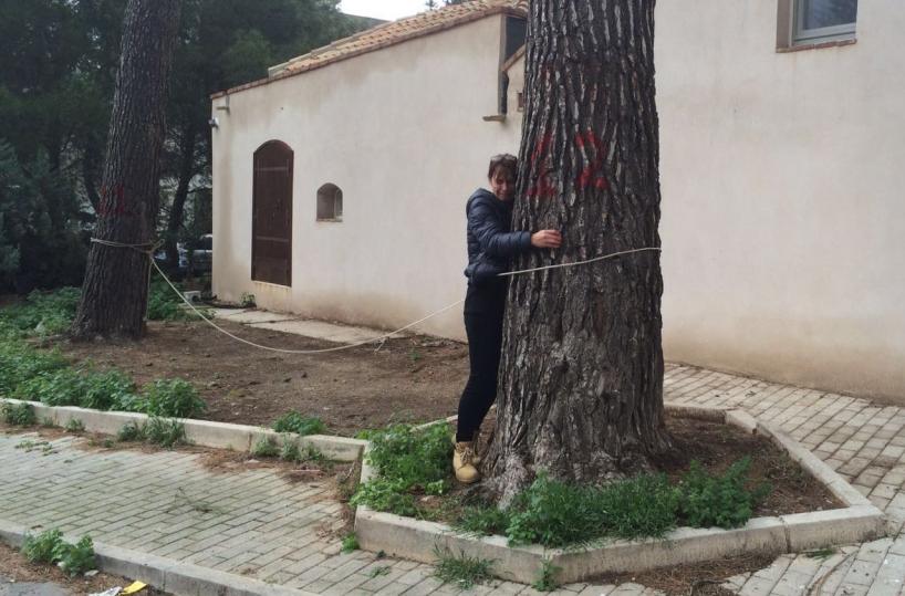 Silvana legata ai pini
