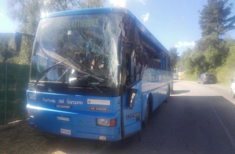 Autobus contro camion  13 feriti lievi a Vieste