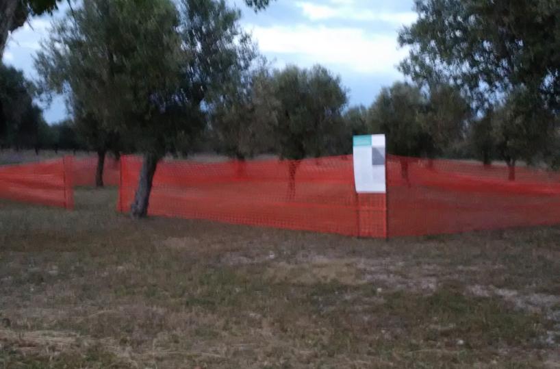 Tap, parte il cantiere«Recintata la zona»