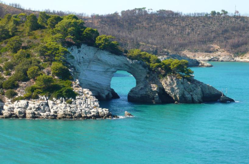 scorcio marino, Gargano