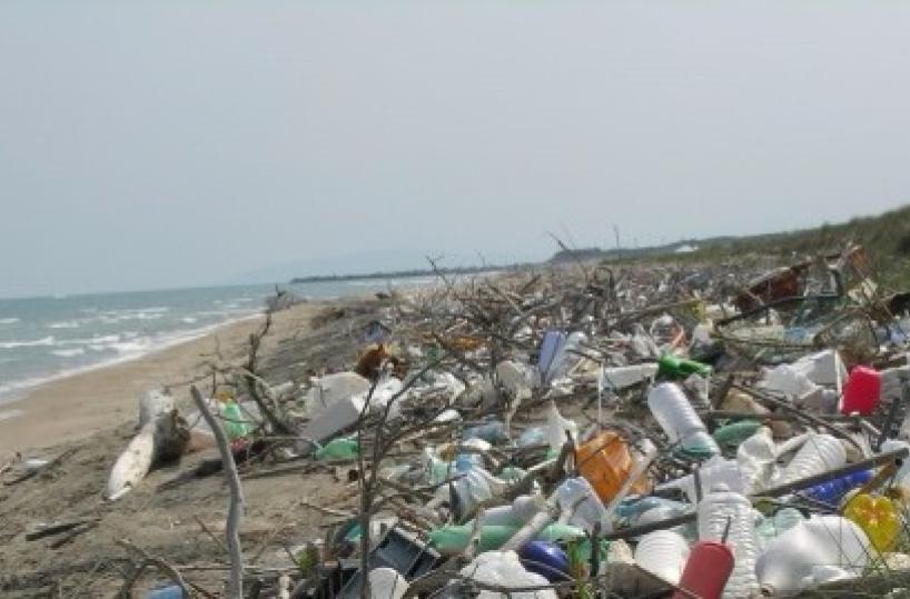 inquinamento, ecomafie