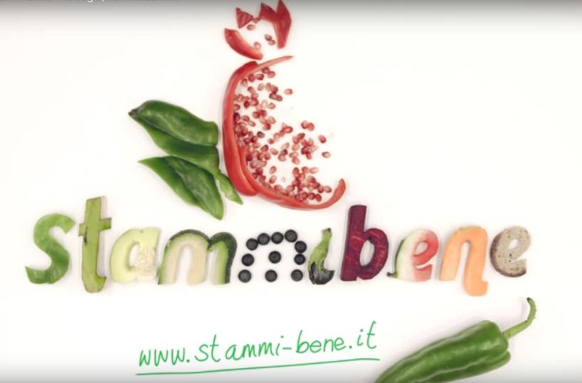 stammibene logo