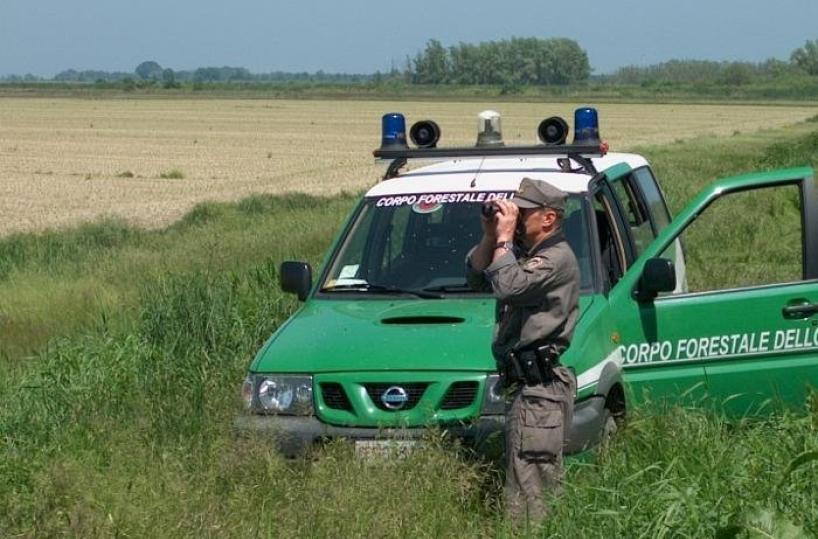 corpo forestale dello stato